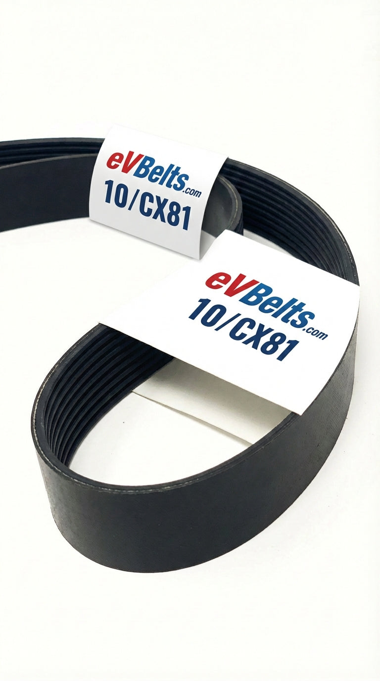 10/CX81