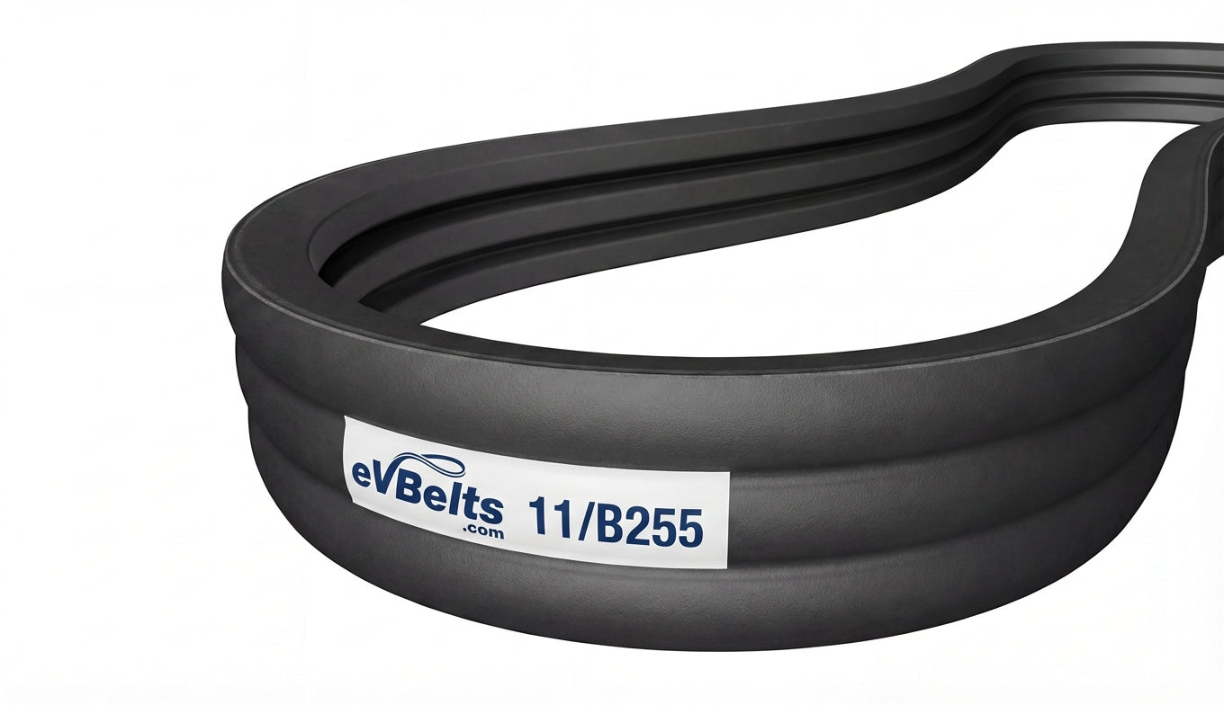 11/B255