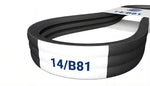 14/B81