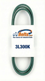 3L300K