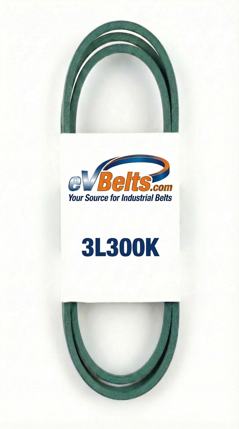 3L300K