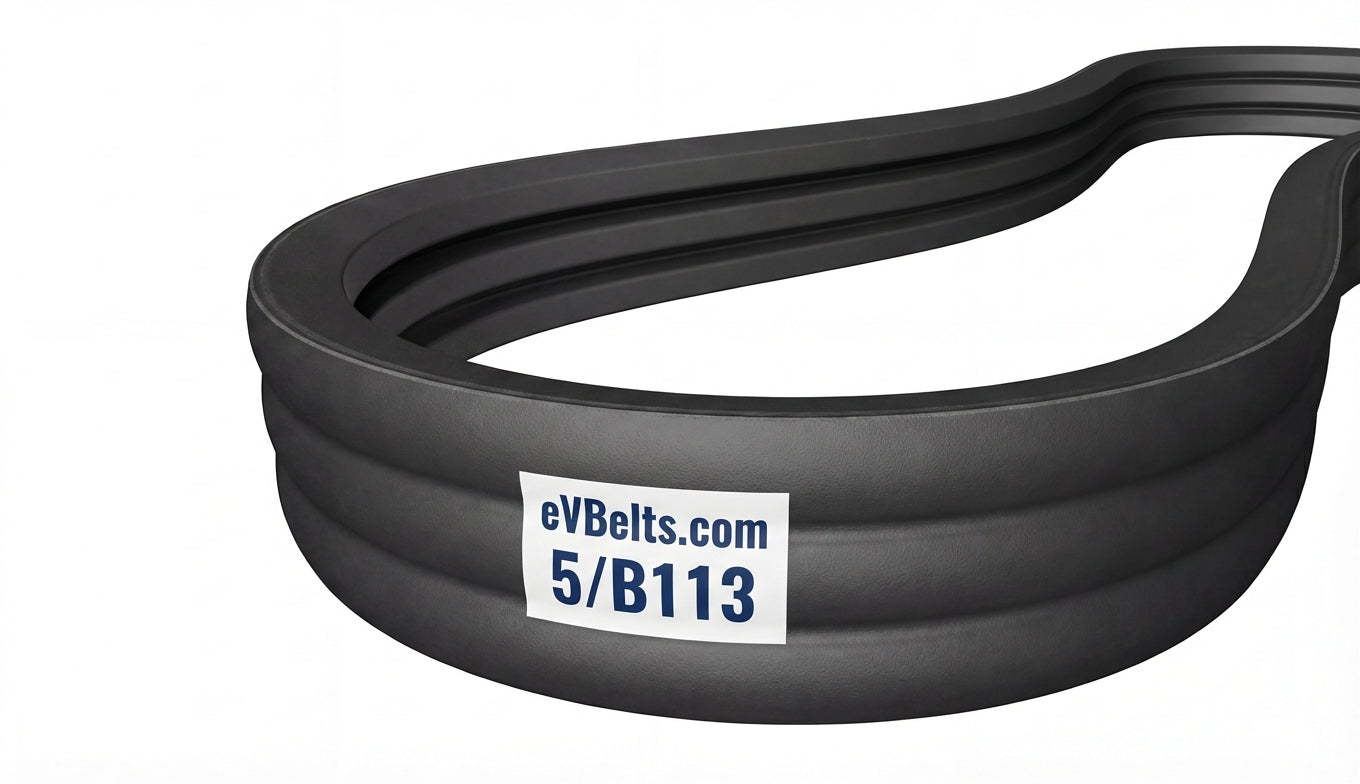 5/B113