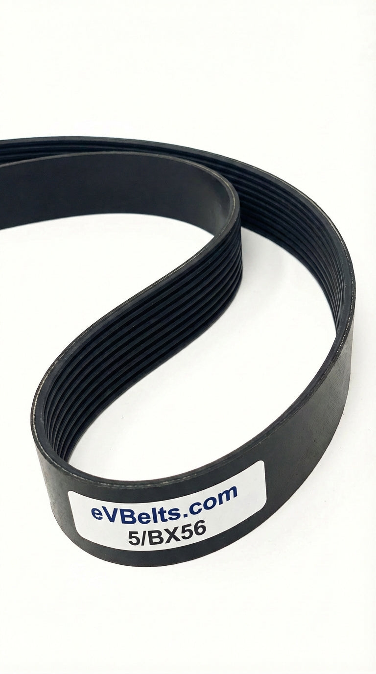 5/BX56