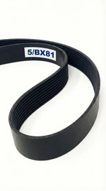5/BX81