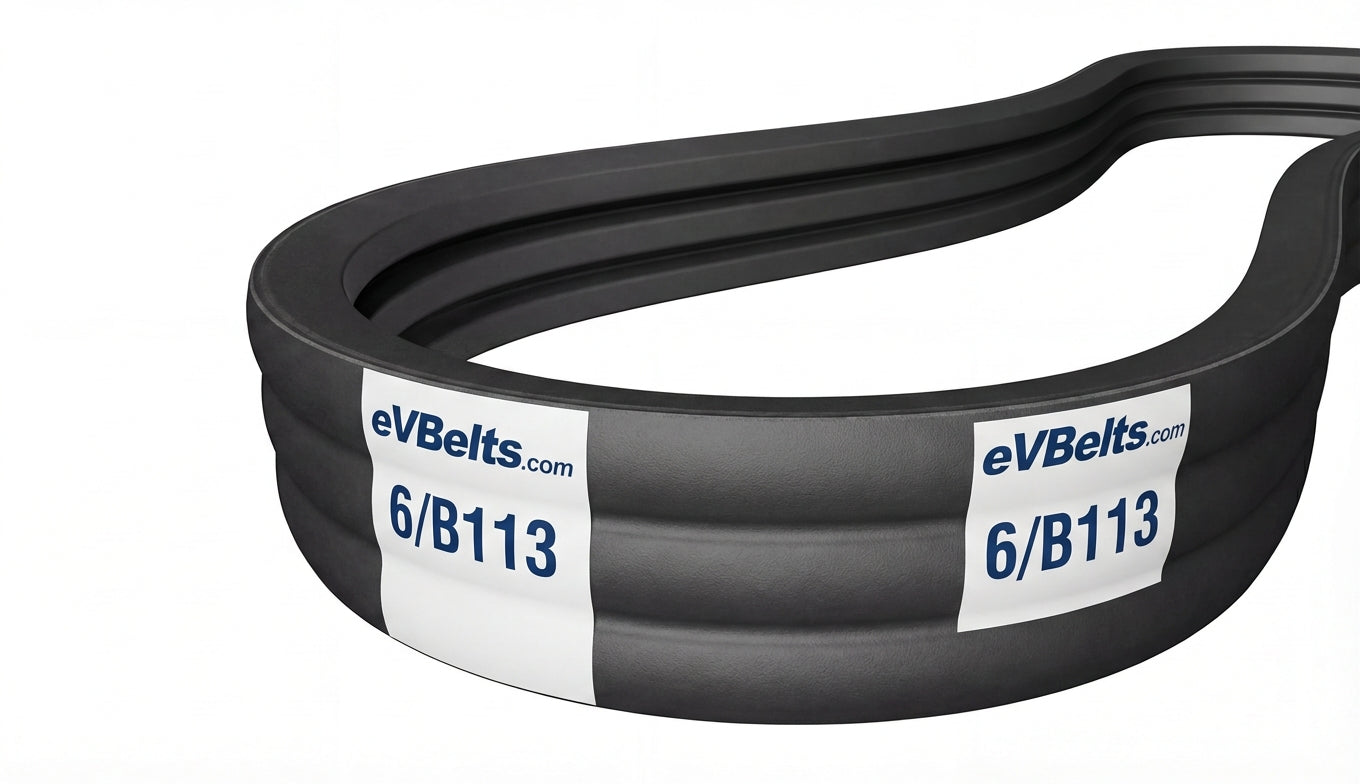 6/B113