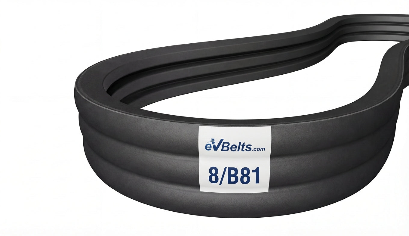 8/B81