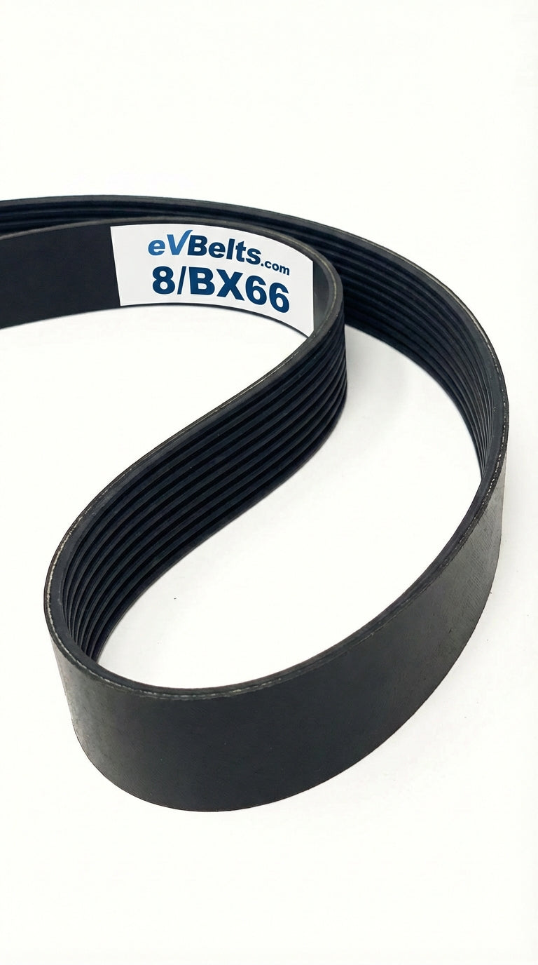 8/BX66