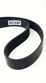 9/CX81