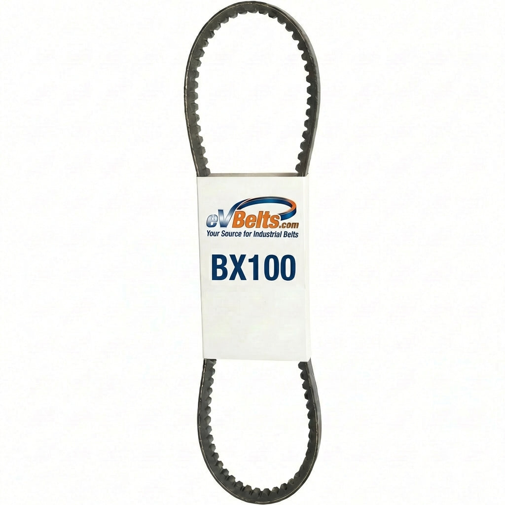 BX100