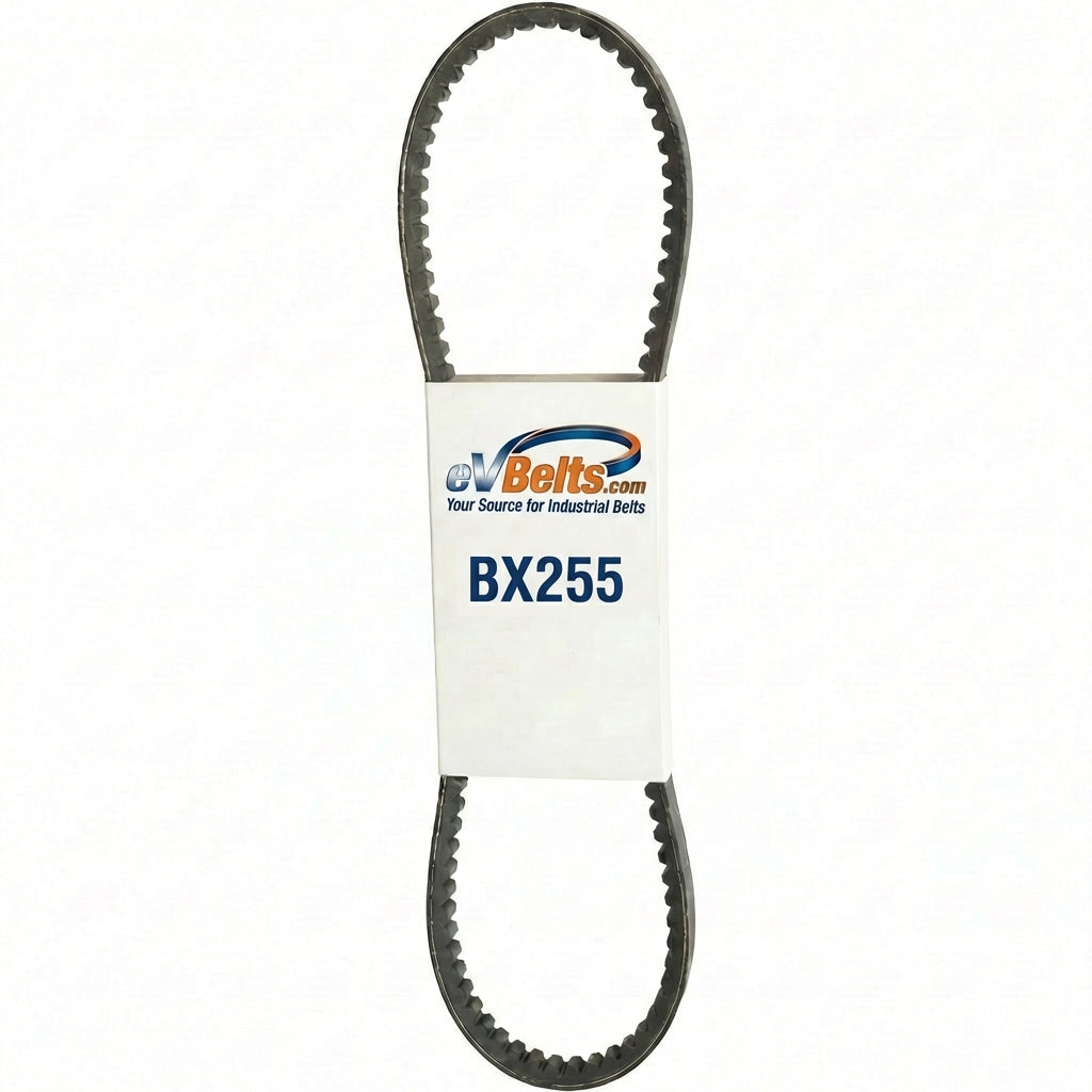 BX255